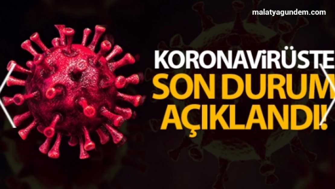 Türkiye'de son 24 saatte 9.193 koronavirüs vakası tespit edildi